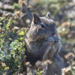 Cambria_0232 (November 04, 2012)